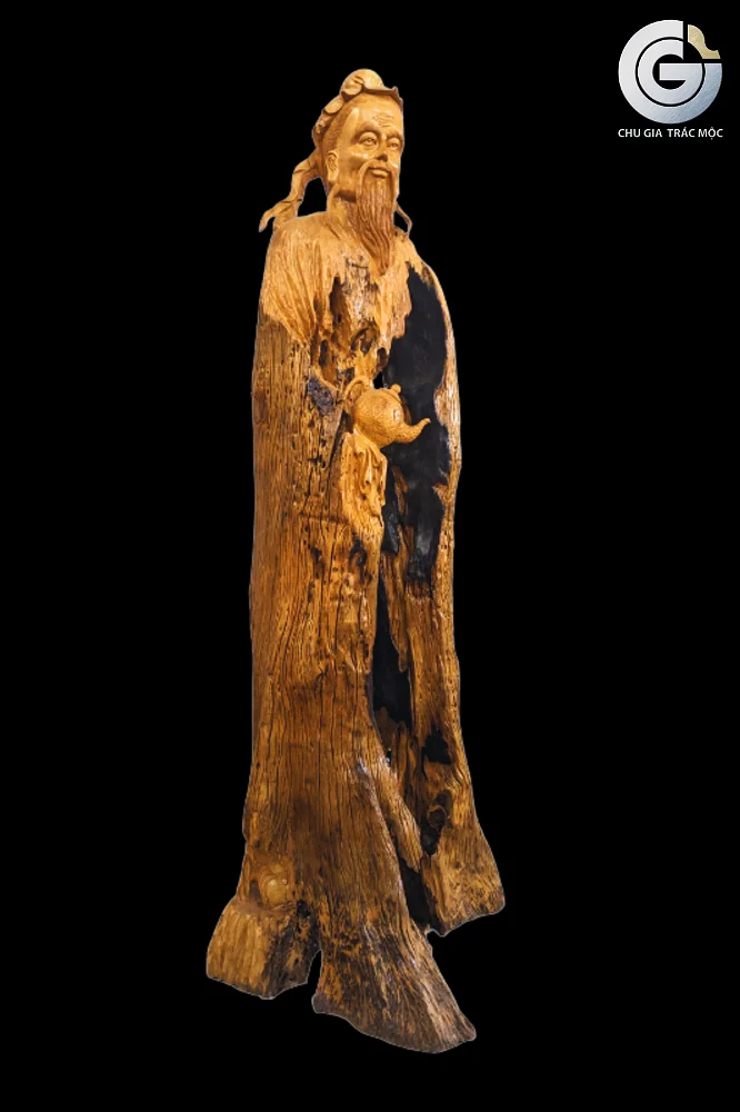 Thần trà (Gỗ Lũa trai vàng)