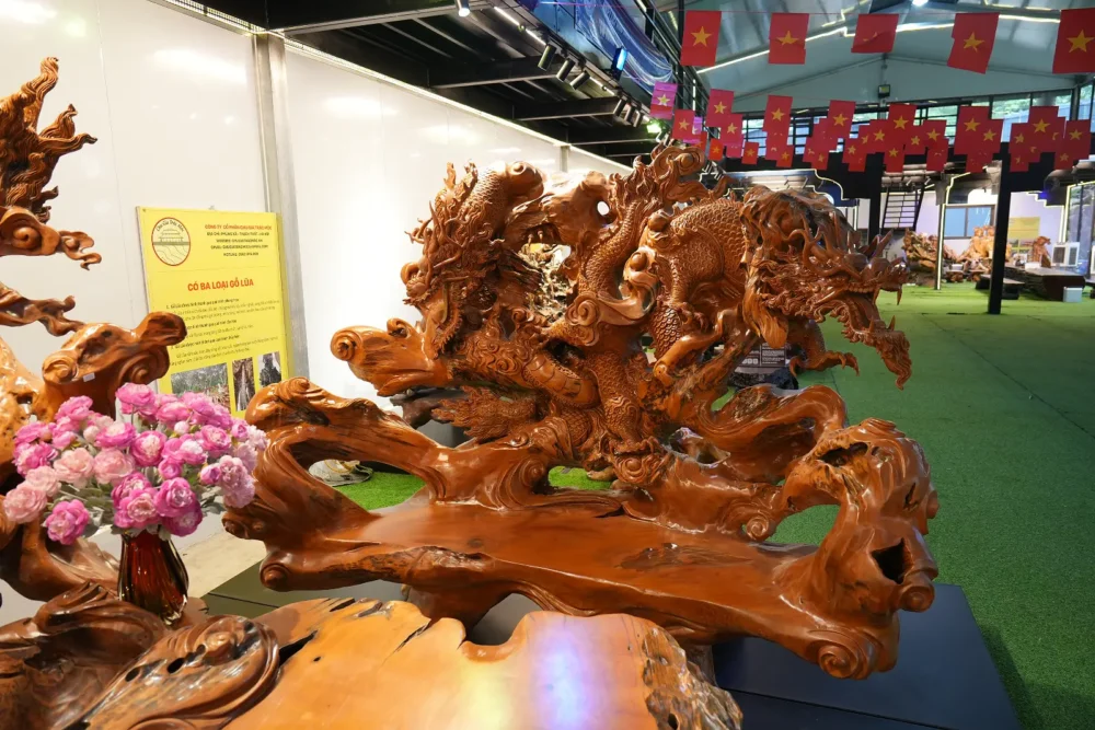 Bộ bàn ghế Ngũ Long (Gỗ Lũa trai vàng) - Ảnh 7