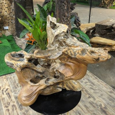 Chậu cảnh Gỗ Lũa trai vàng 2 máng