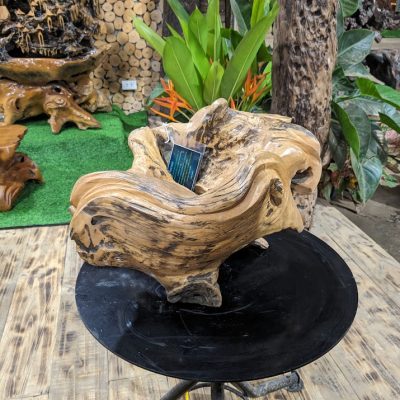 Chậu cảnh Gỗ Lũa trai vàng 1 máng