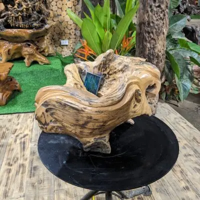 Chậu cảnh Gỗ Lũa trai vàng 1 máng