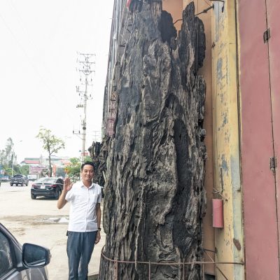 Gỗ Hương Lũa 05