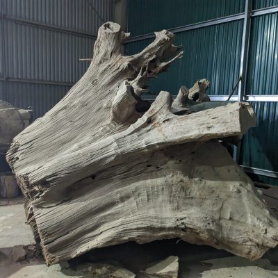 Gốc Lũa trai vàng 04