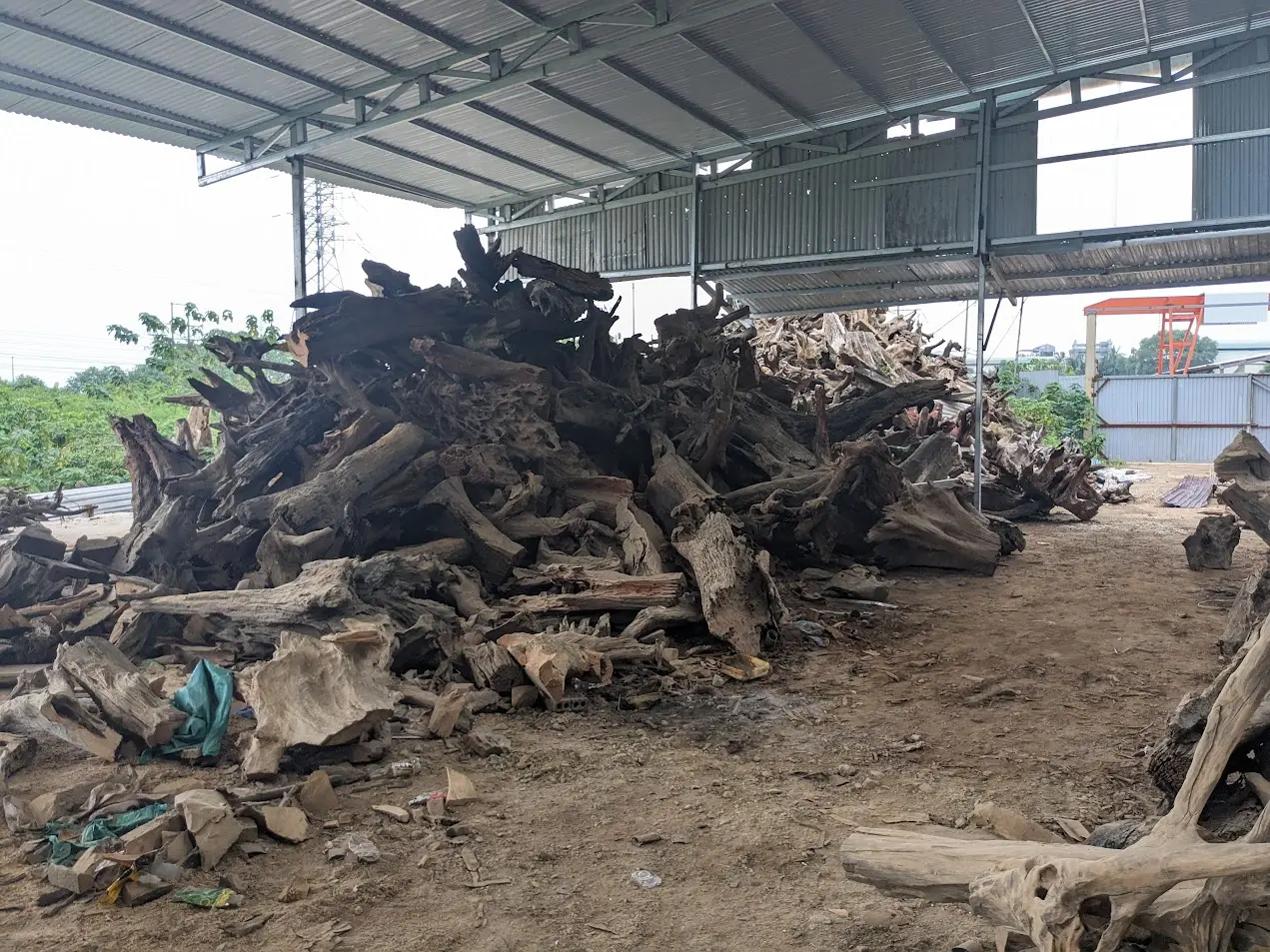 Tổng kho Gỗ Lũa lớn nhất Việt Nam
