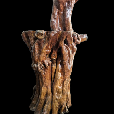 Gốc nhãn lũa