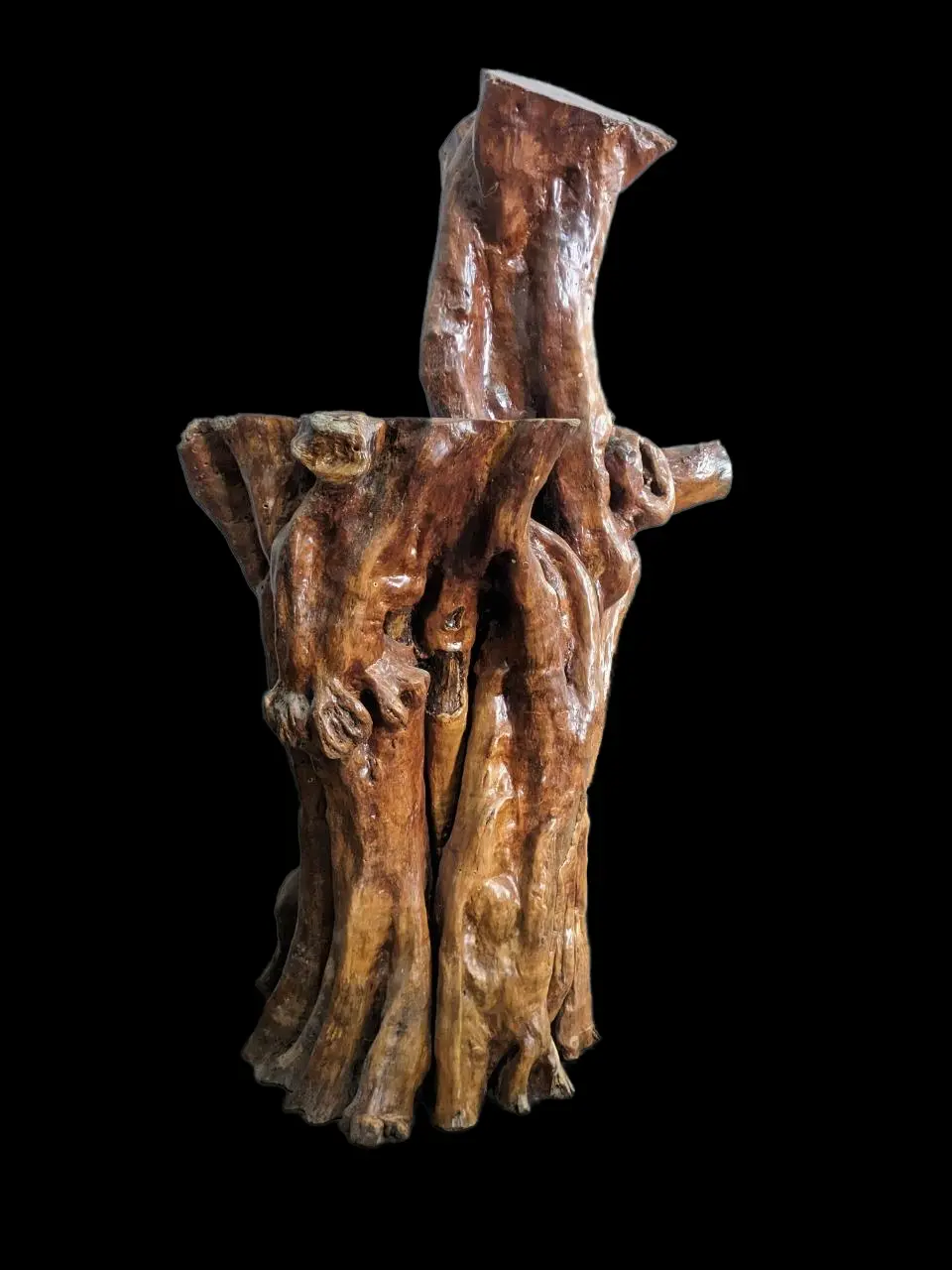 Gốc nhãn lũa