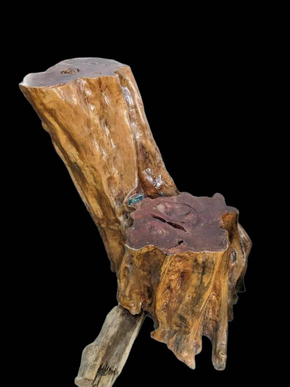 Gốc nhãn lũa