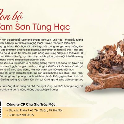 câu chuyện tam sơn tùng hạc
