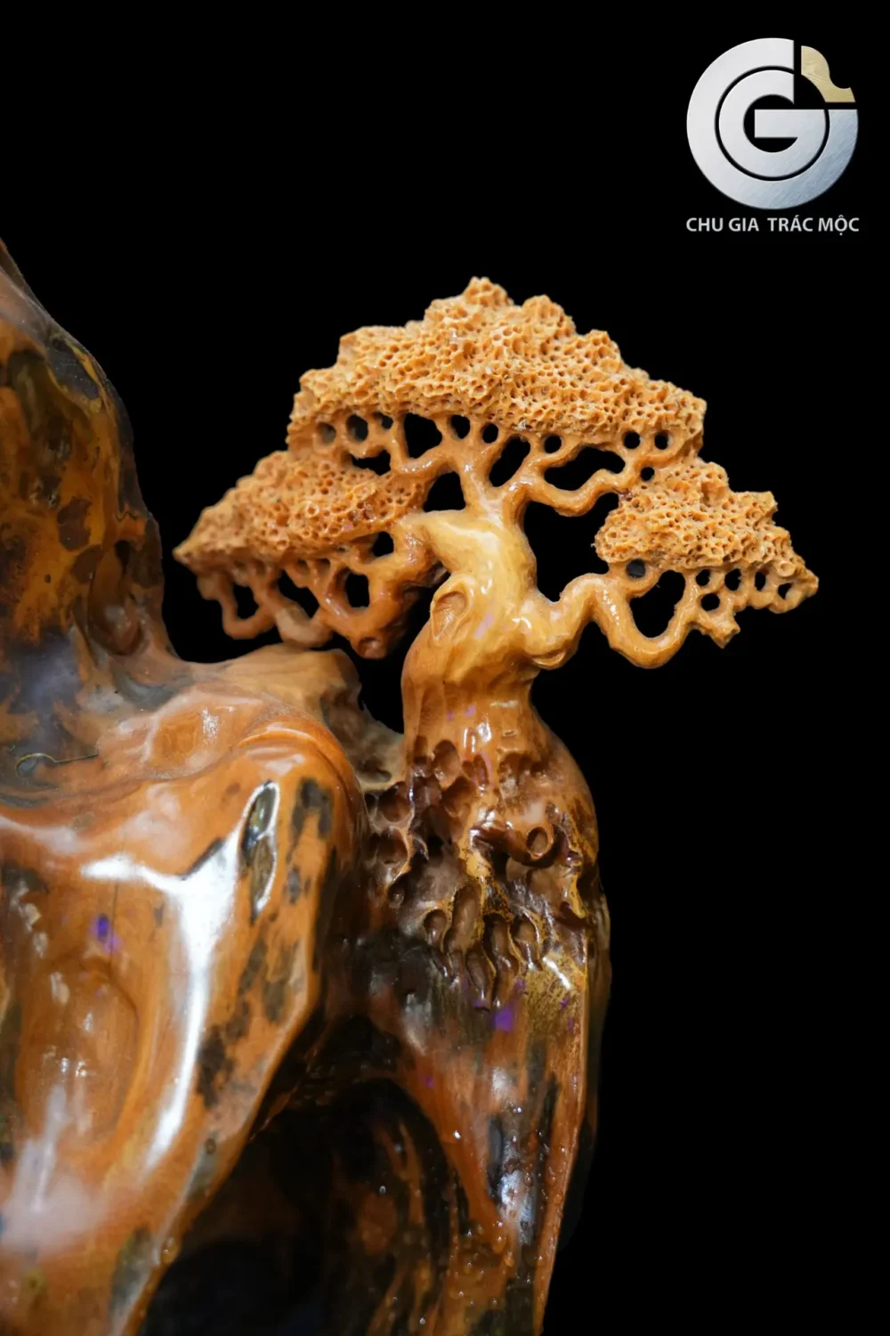 Thư Đồng Minh Tuệ - Ảnh 7