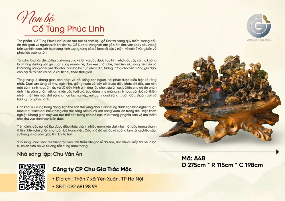 Cổ Tùng Phúc Linh - Ảnh 4
