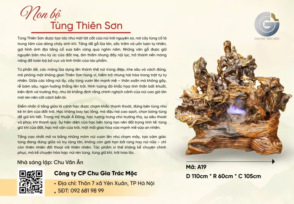 Tùng Thiên Sơn - Ảnh 6