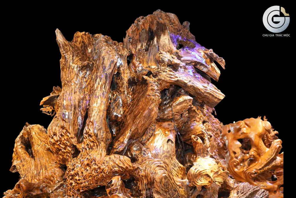 Liên Ngư Quy Giác - Ảnh 5